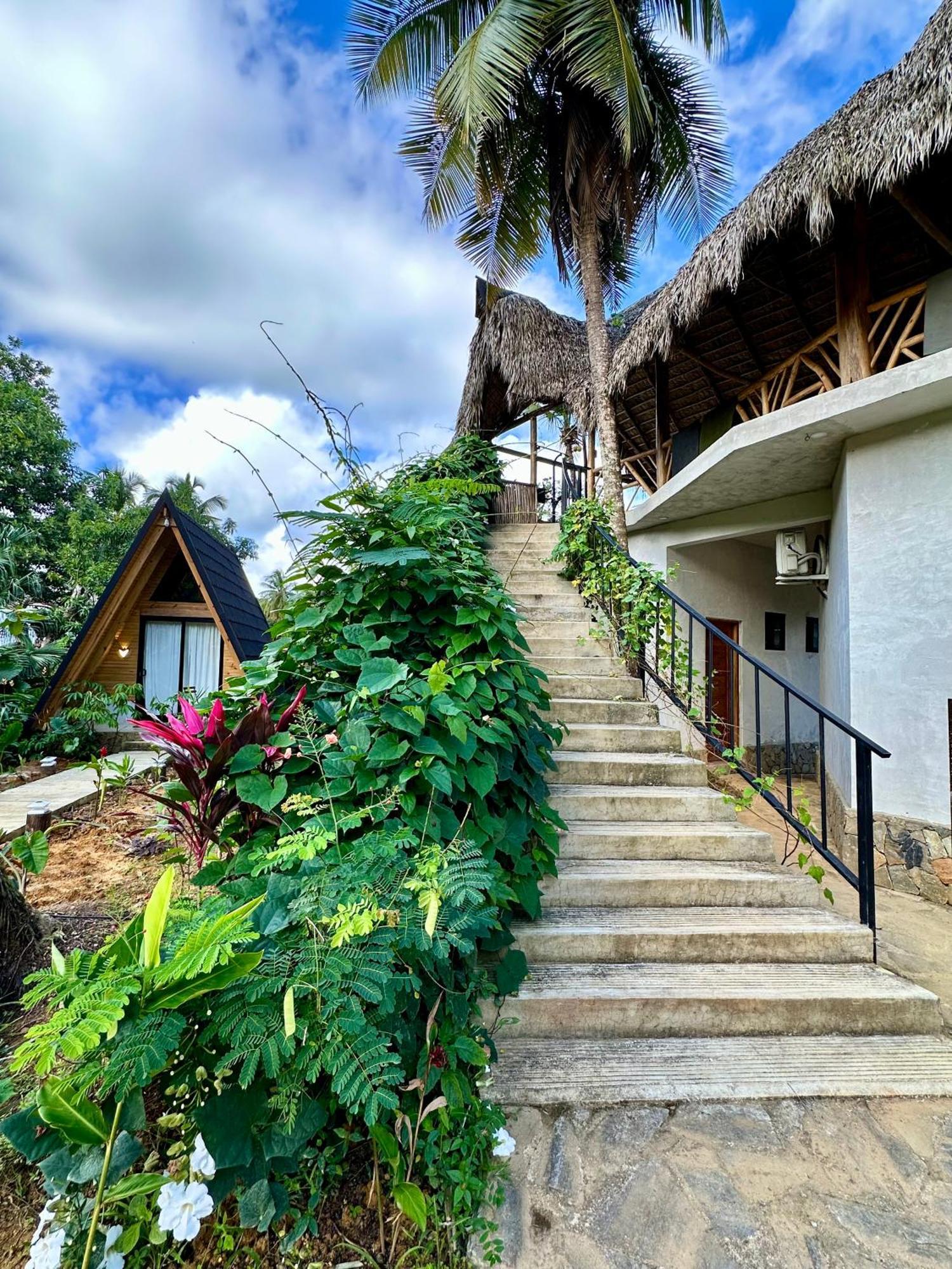Leisy'S Garden Hostel & Rooms Samaná Exterior foto